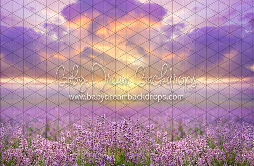 Morning Glow Meadow (CC)