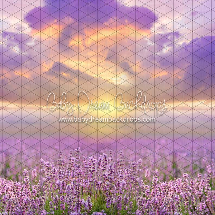 X Drop morning glow meadow cc