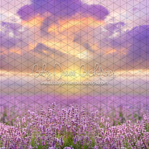 Morning Glow Meadow (CC)