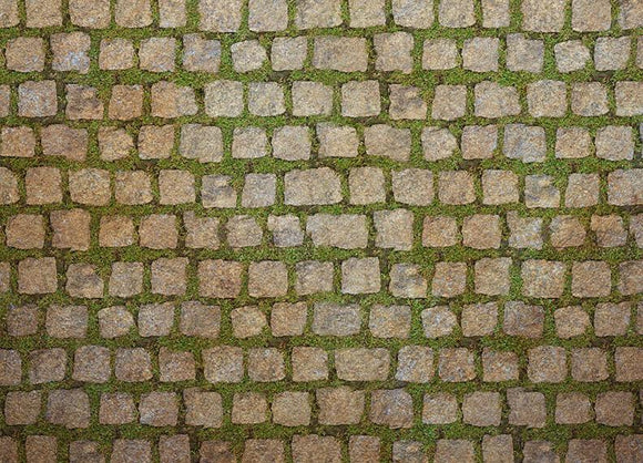Moss Among Stones Floor-rf
