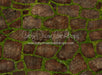 Mossy Dark Spring Stone (CC)