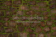 Mossy Dark Spring Stone (CC)