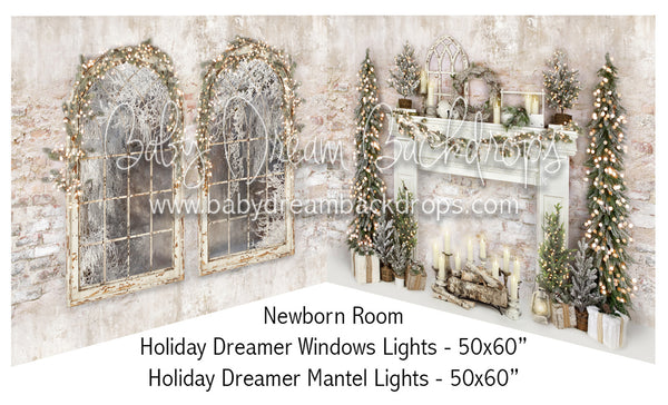 Holiday Dreamer Windows Lights and Mantel Lights Newborn Bundle