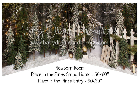 Place in the Pines String Lights and Entry Newborn Bundle