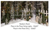Place in the Pines String Lights and Entry Newborn Bundle