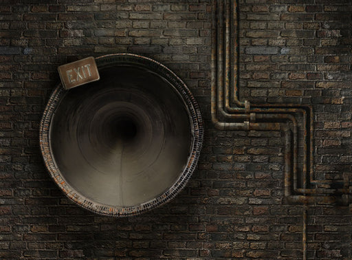 Ninja Lair - 60x80 Long  