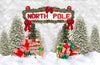 North Pole Passage