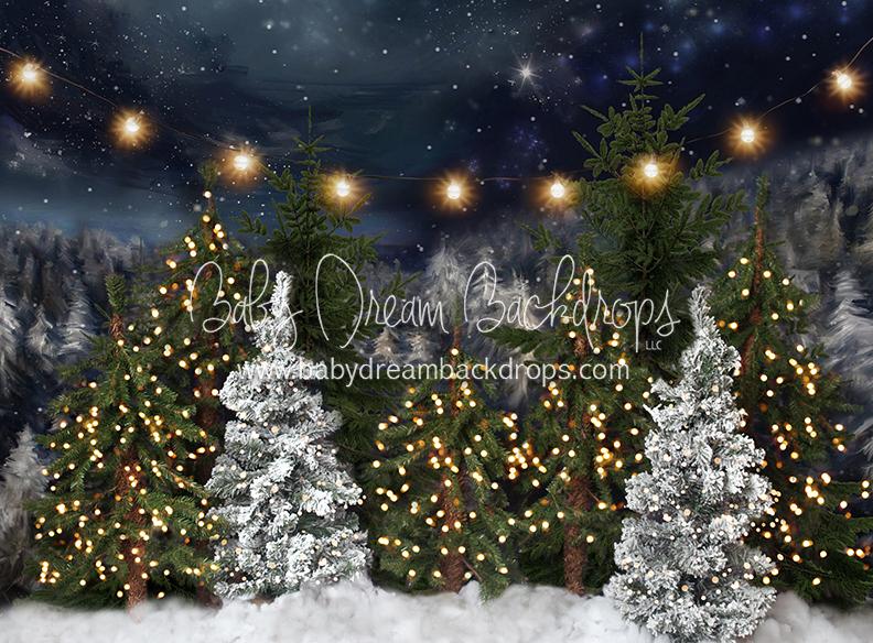 Northern Delights Trees Lights (BS)