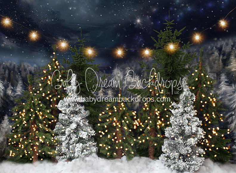 Northern Delights Trees Lights (BS)