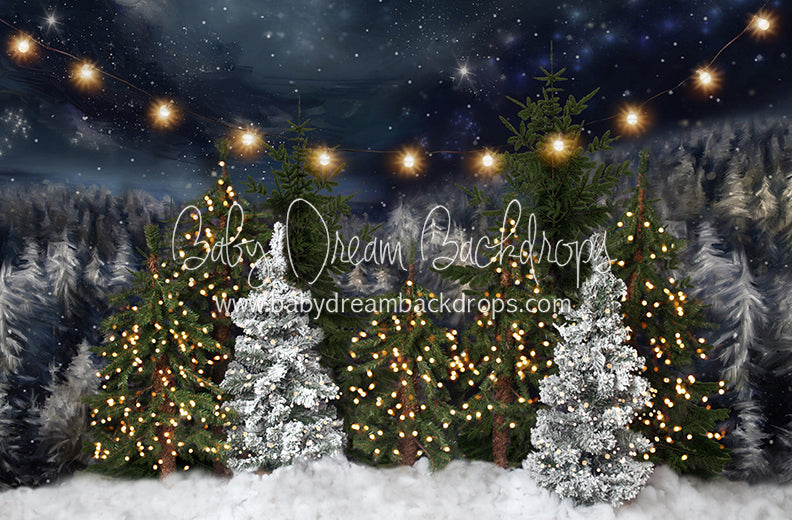 Northern Delights Trees Lights (BS)