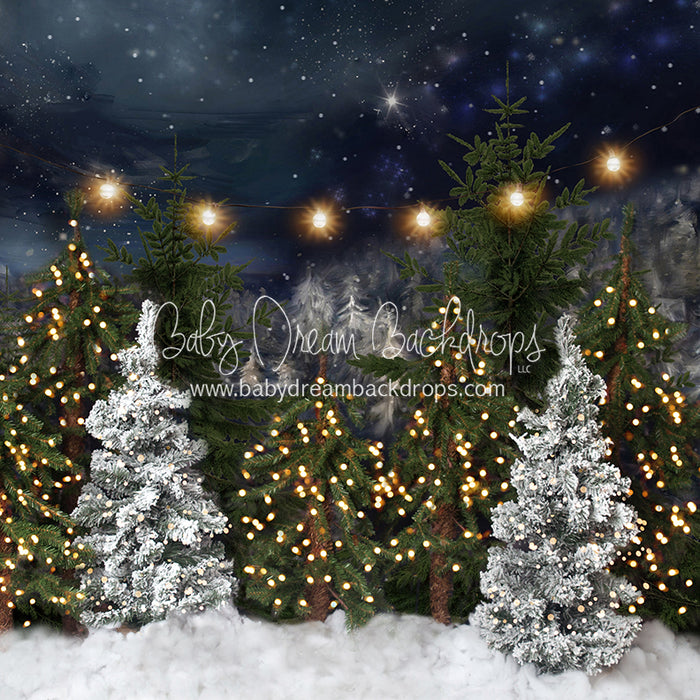 Northern Delights Trees Lights (BS)