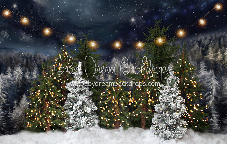 Northern Delights Trees Lights (BS)