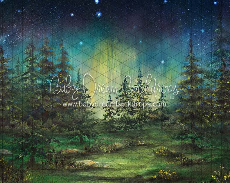 Northern Lights Camp Out