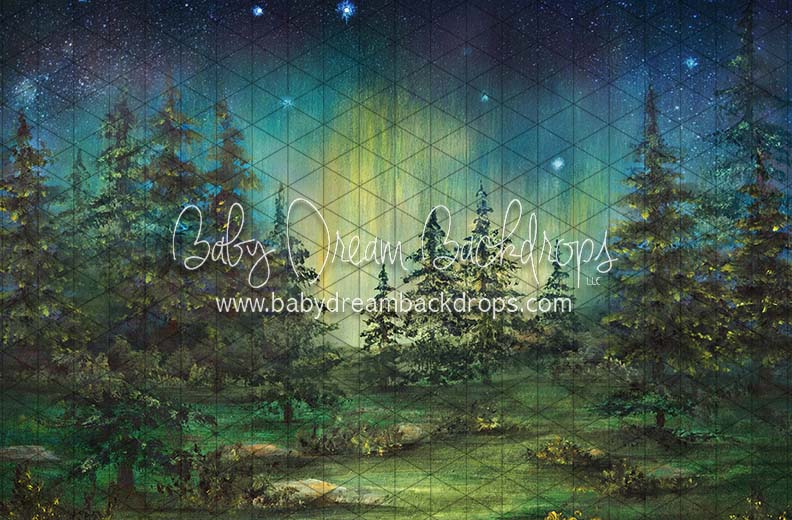 Northern Lights Camp Out