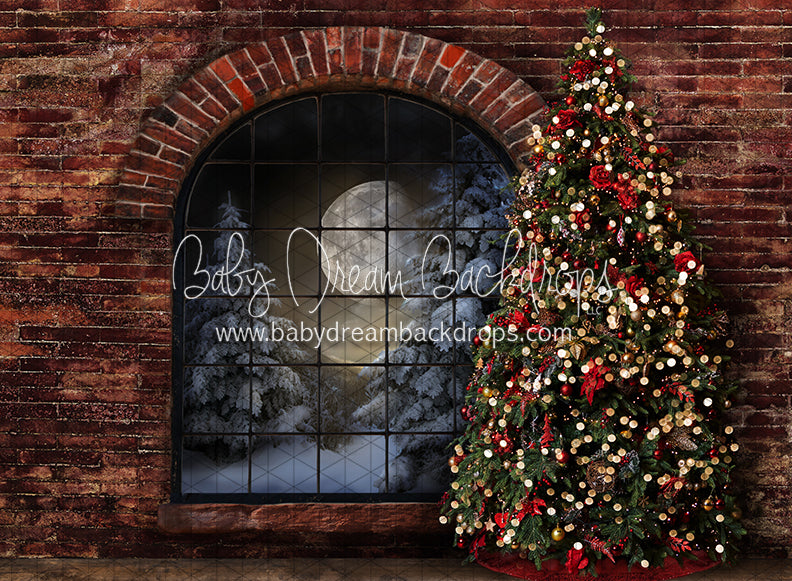 Northern Nook Window Tree (JA)