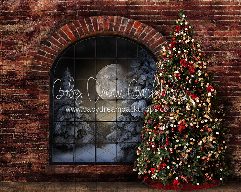 Northern Nook Window Tree (JA)