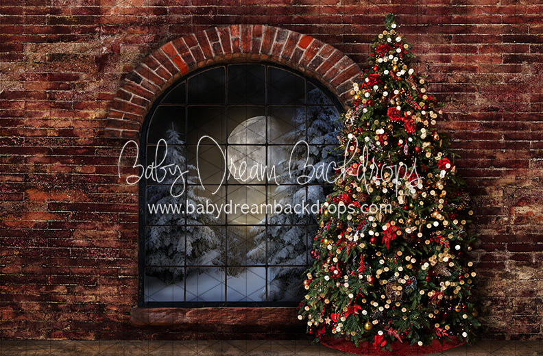 Northern Nook Window Tree (JA)