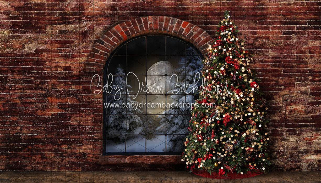 Northern Nook Window Tree (JA)