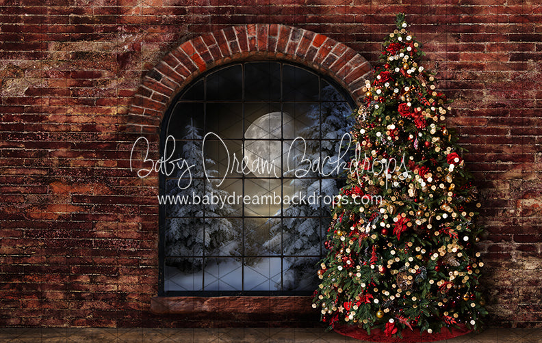 Northern Nook Window Tree (JA)