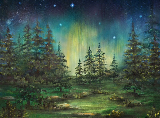 Northern Lights Camp Out - 60Hx80W - SS  