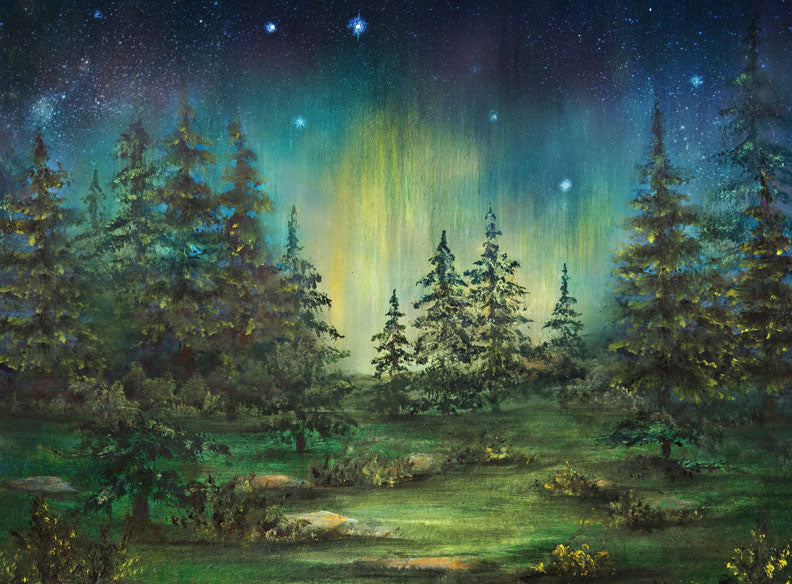 Northern Lights Camp Out - 60Hx80W - SS  