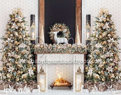 Northlight View Fireplace (VR)