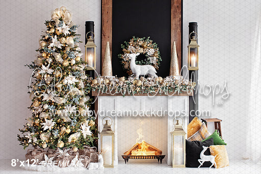 Northlight View (Fire Place V2) VR