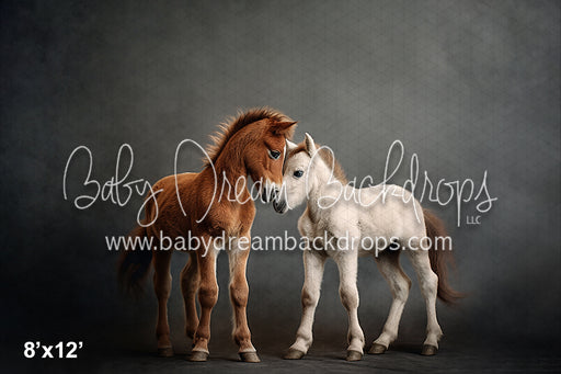 Nuzzling Foals (AZ)