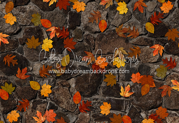 October Fall Stones Floor (CC)