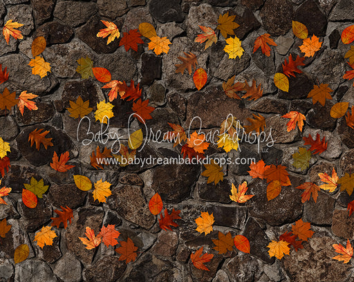 October Fall Stones (CC)