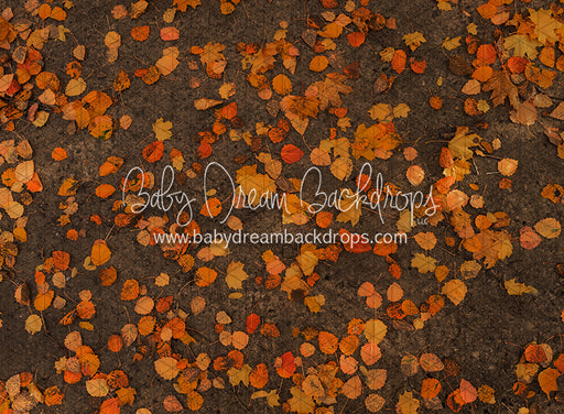 October Leafy Road (CC)