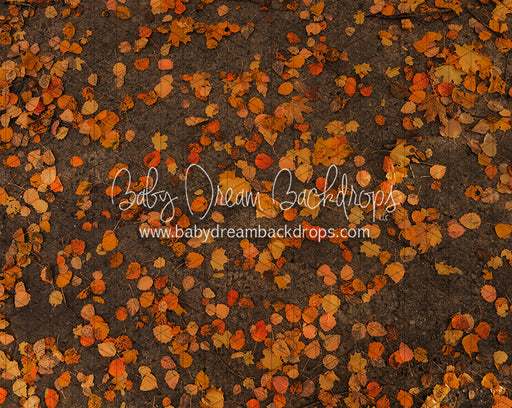 October Leafy Road (CC)