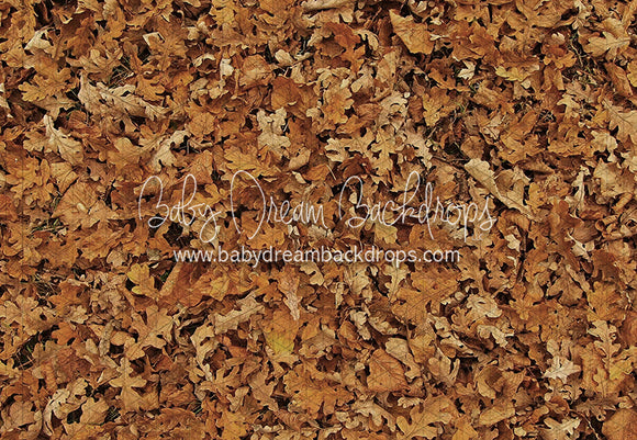 October Leaves Floor (CC)