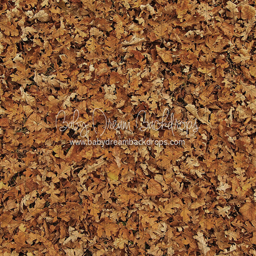 October Leaves Floor (CC)