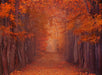 October Road - 60x80 Long  