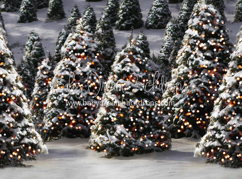 Oh Ginger Snap Trees