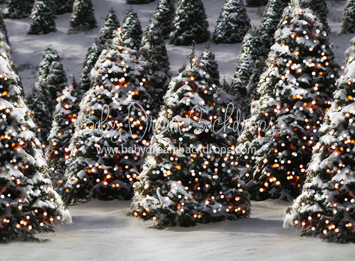 Oh Ginger Snap Trees