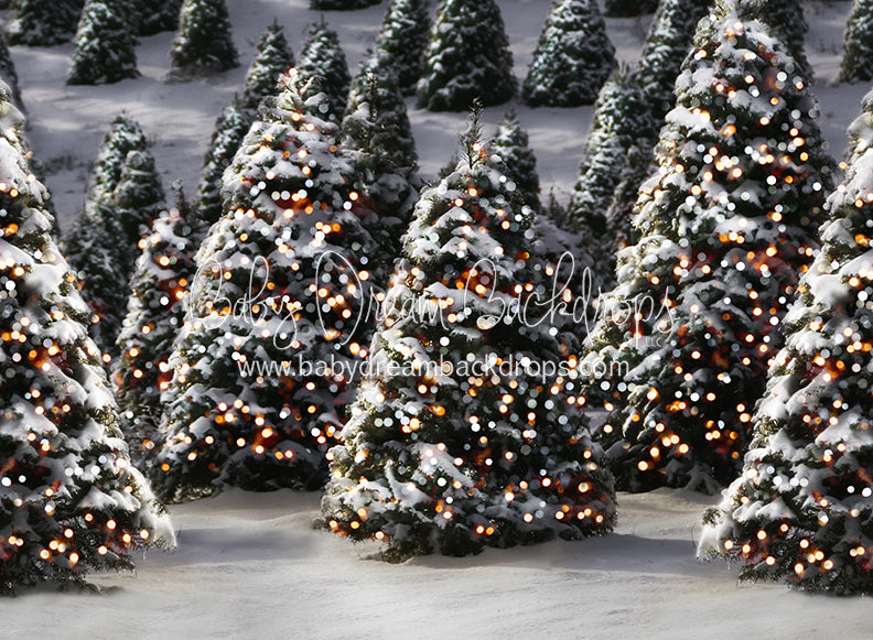 Oh Ginger Snap Trees