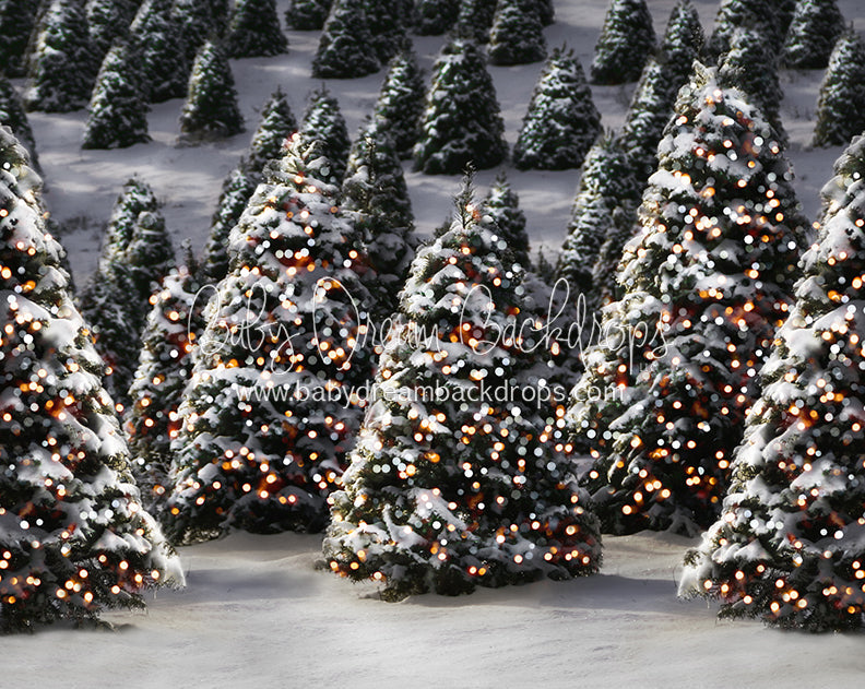 Oh Ginger Snap Trees