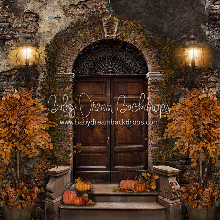 Old City Door Autumn