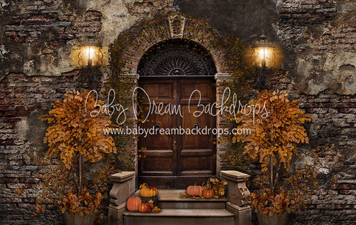 Old City Door Autumn