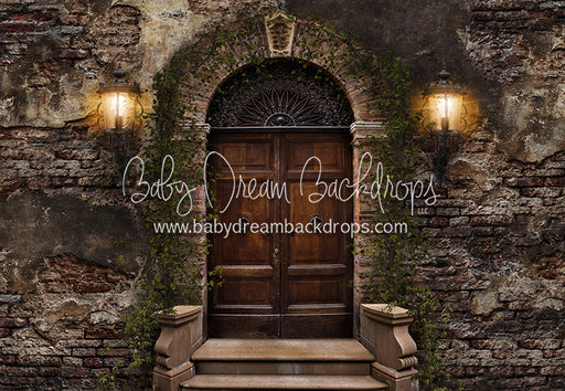 Old City Door (Green Vines) 