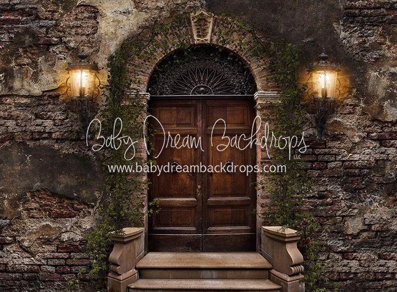 Old City Door (Green Vines)