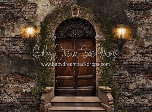 Old City Door (Green Vines) 