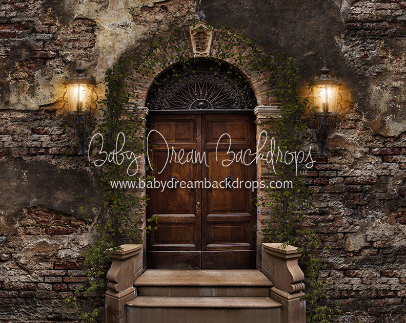 X Drop old city door green vines