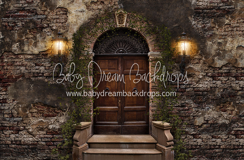 Old City Door (Green Vines) 