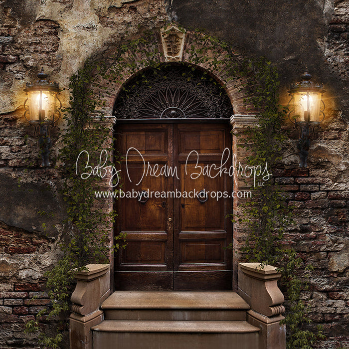 X Drop old city door green vines