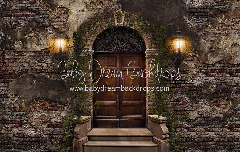 Old City Door (Green Vines) 