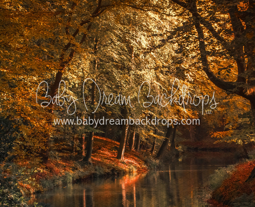 On the Autumn Pond (CC)