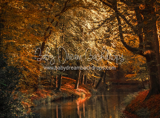 On the Autumn Pond (CC)